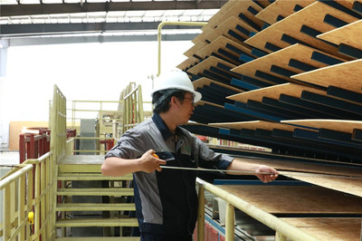 劍河速度 超聲技術(shù)驅(qū)動(dòng)木材制造向“智造”升級(jí)