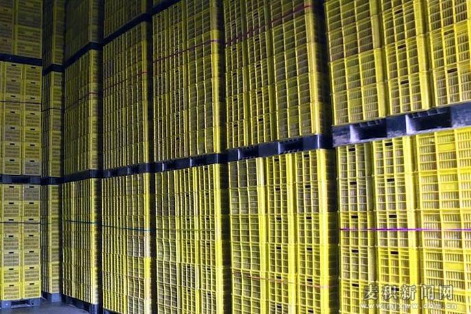 麥積區 大力發展倉儲冷鏈設施 助力農產品提高附加值